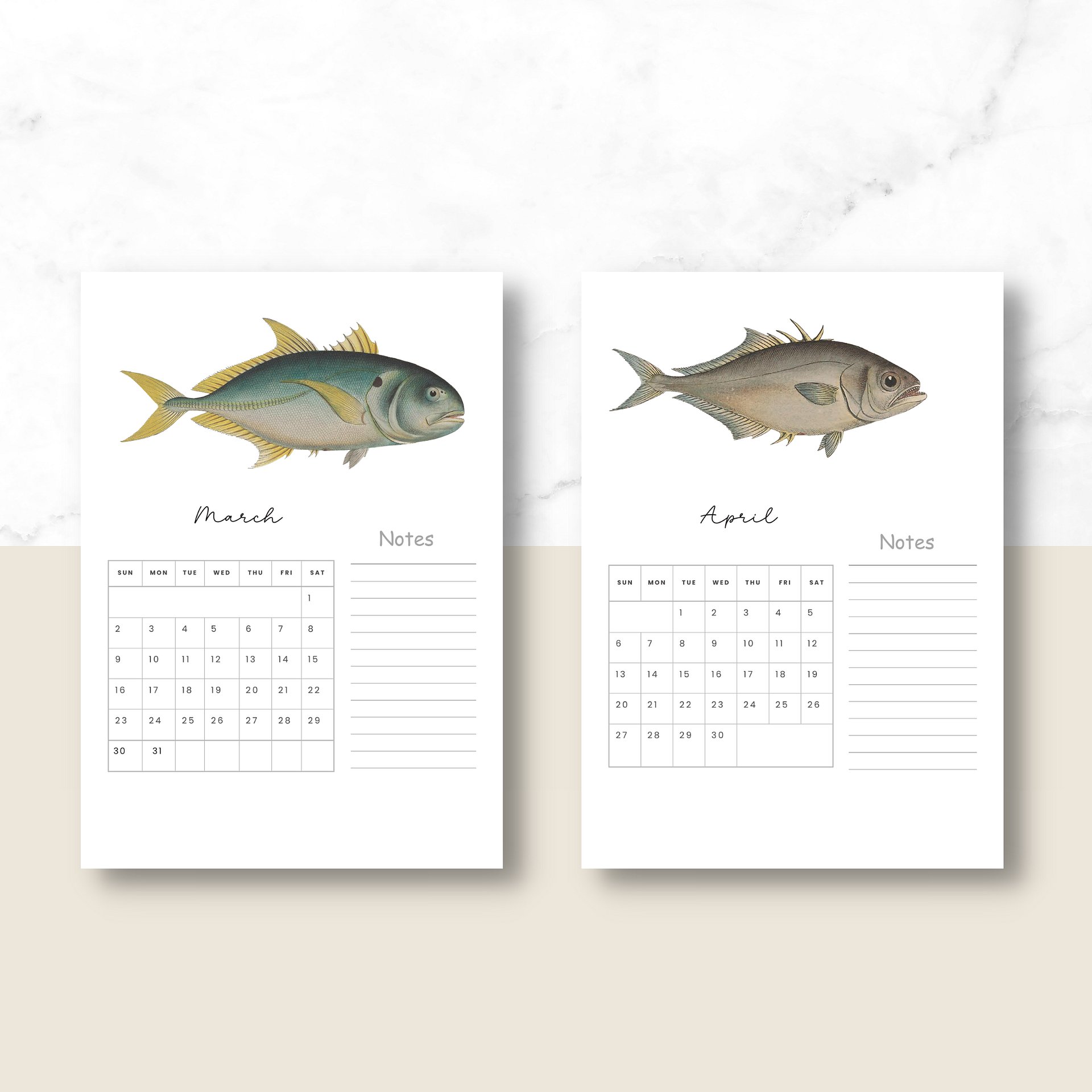 2025- 2026 PDF Calendar: Ocean Life product image (3)