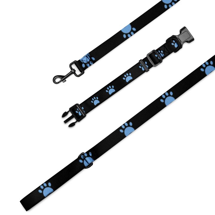 Jordy Paw Pet Collar & Leash Set product image (1)