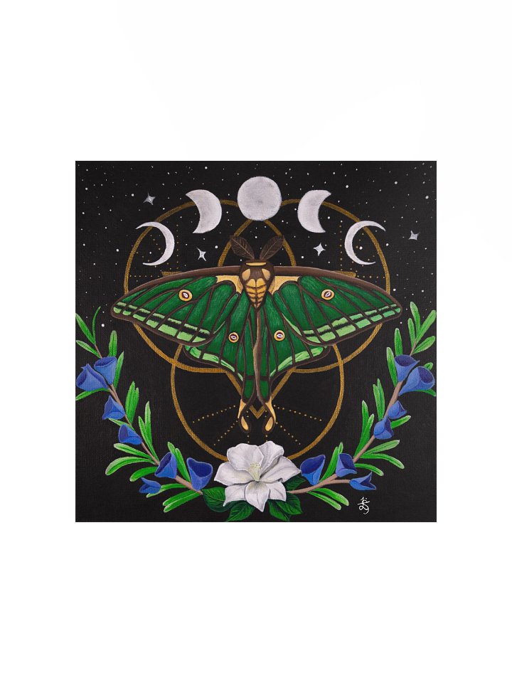 Spanish Moon Moth Original Art Print product image (1)
