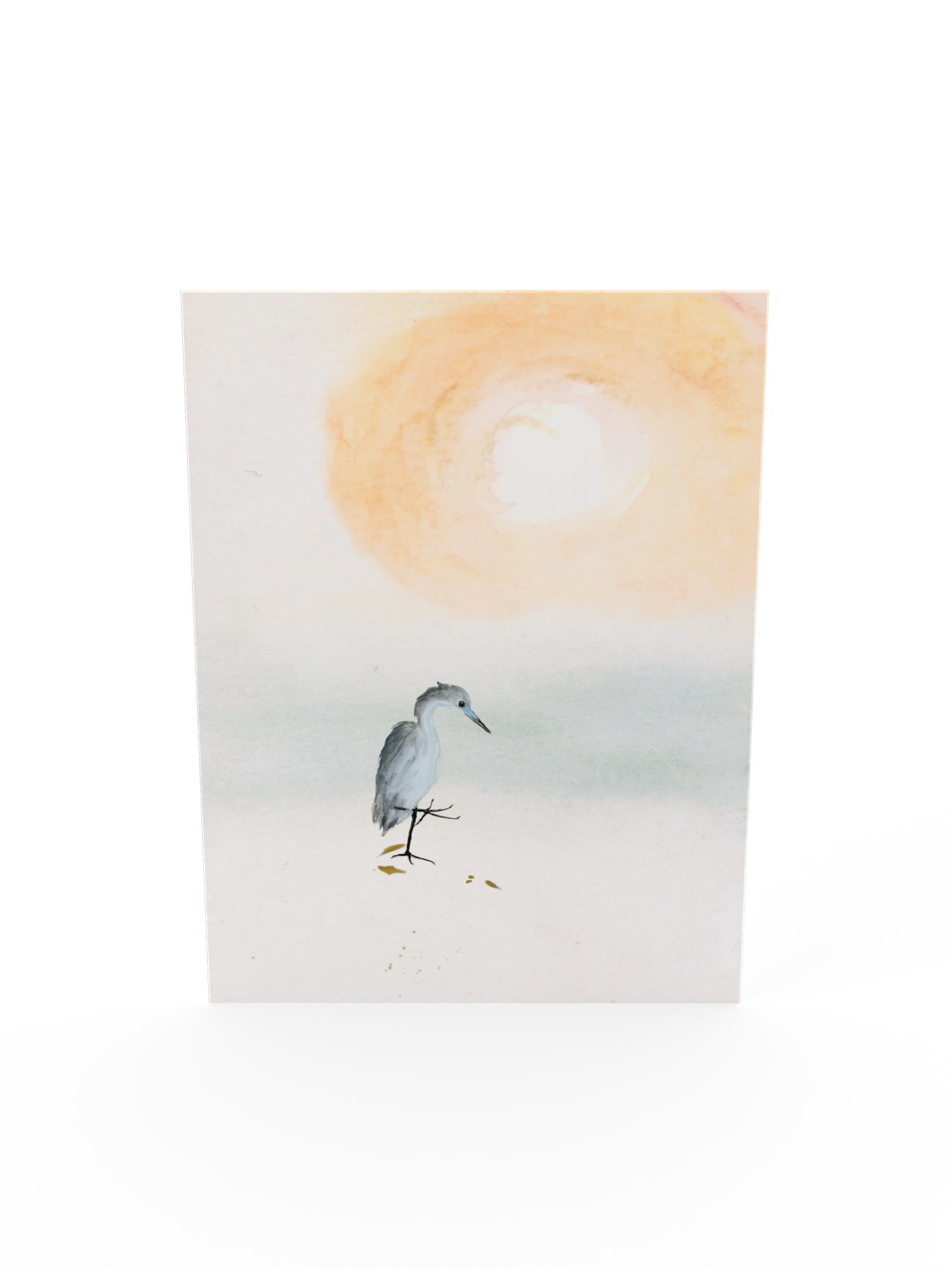 Baby Blue Heron - Fine Art Print product image (49)