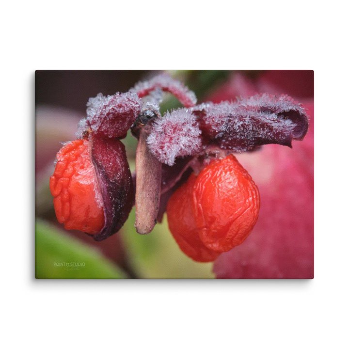Frosted Fruit - Print On Canvas product image (1)