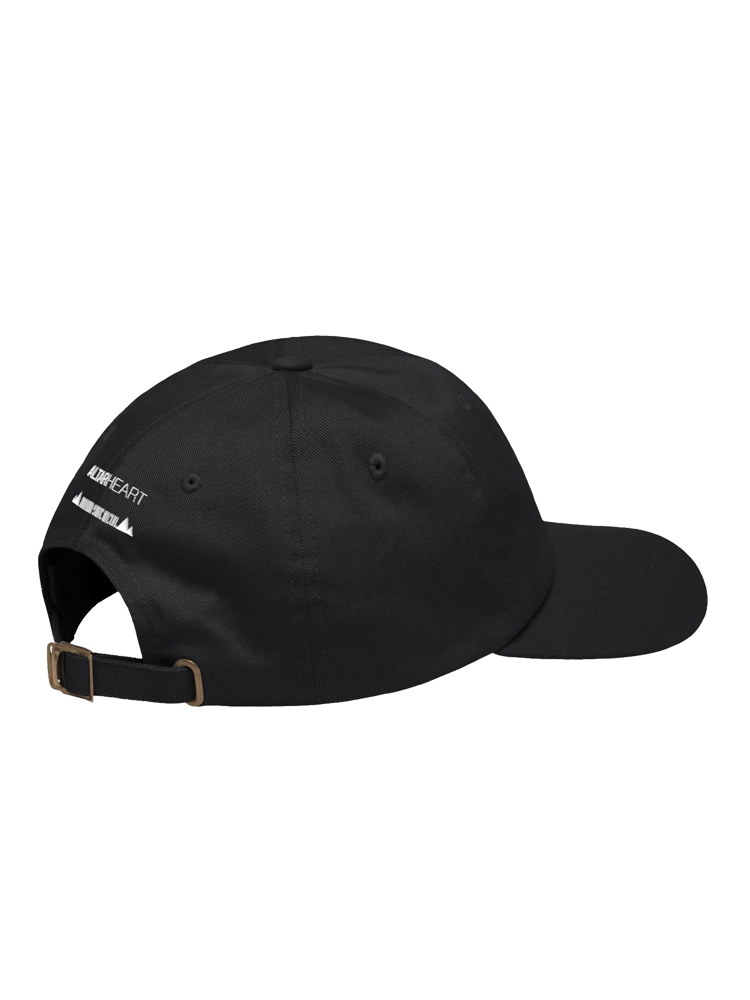 Brutal Logo Hat product image (4)