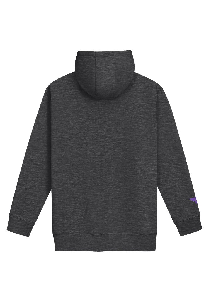 Jumping Spider Embroidered Hoodie product image (10)