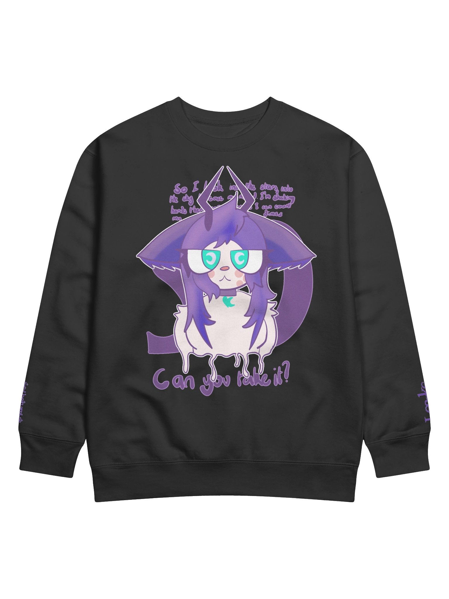 "Can you take it?" Longsleeve (Collaboration with kittydog) product image (1)
