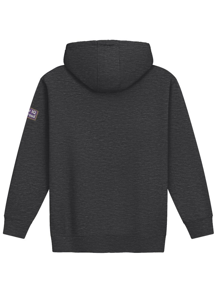 ''Slow Bus'' Unisex Premium Hoodie product image (10)