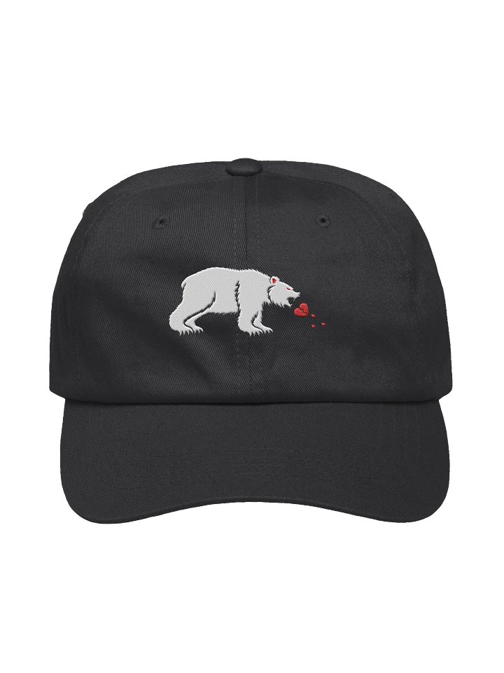 BBT HAT product image (1)