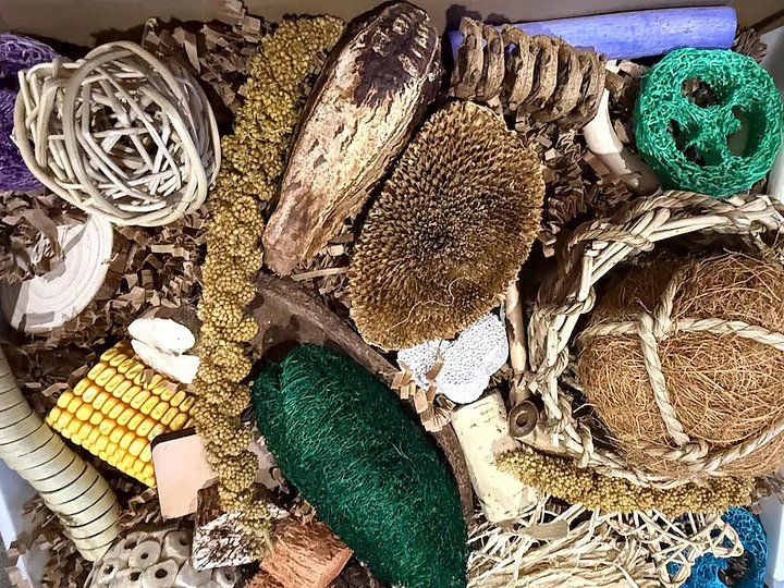 Busy Beaks Foraging Box product image (2)