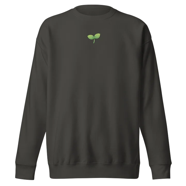 Sprout Embroidered Comfy Sweatshirt product image (1)