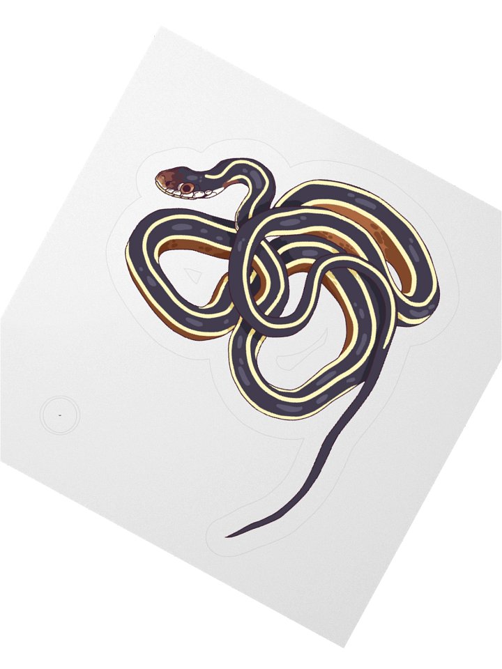 Eastern Ribbonsnake - Thamnophis saurita saurita Sticker product image (6)