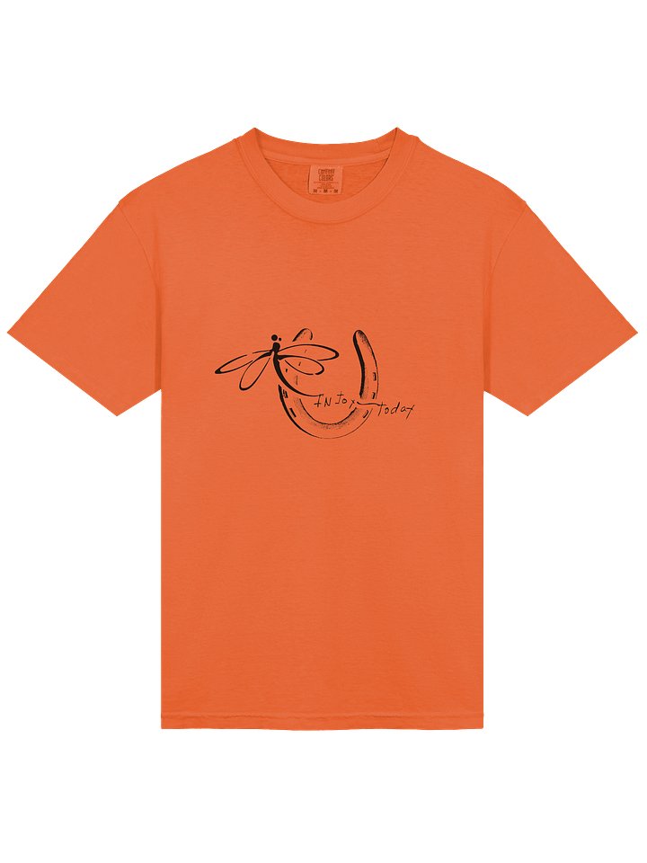 InJoy Today Daily Joy T‑Shirt| Premium Heavyweight Cotton T‑Shirt (Relaxed Unisex Fit) product image (2)