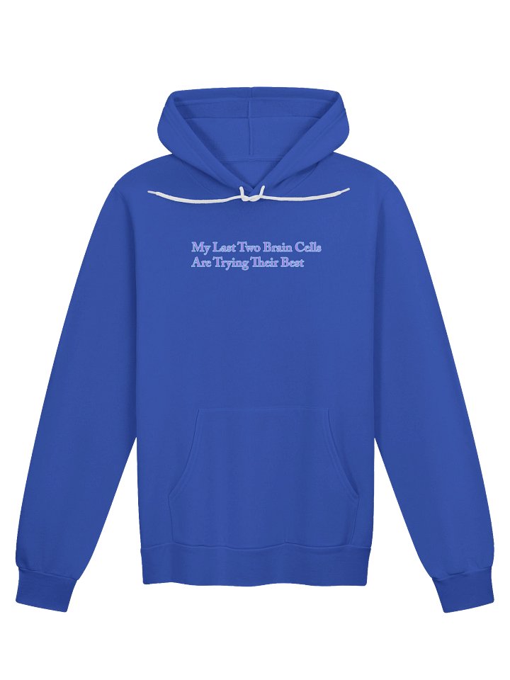 My Last Two Brain Cells Are Trying Their Best Hoodie product image (1)