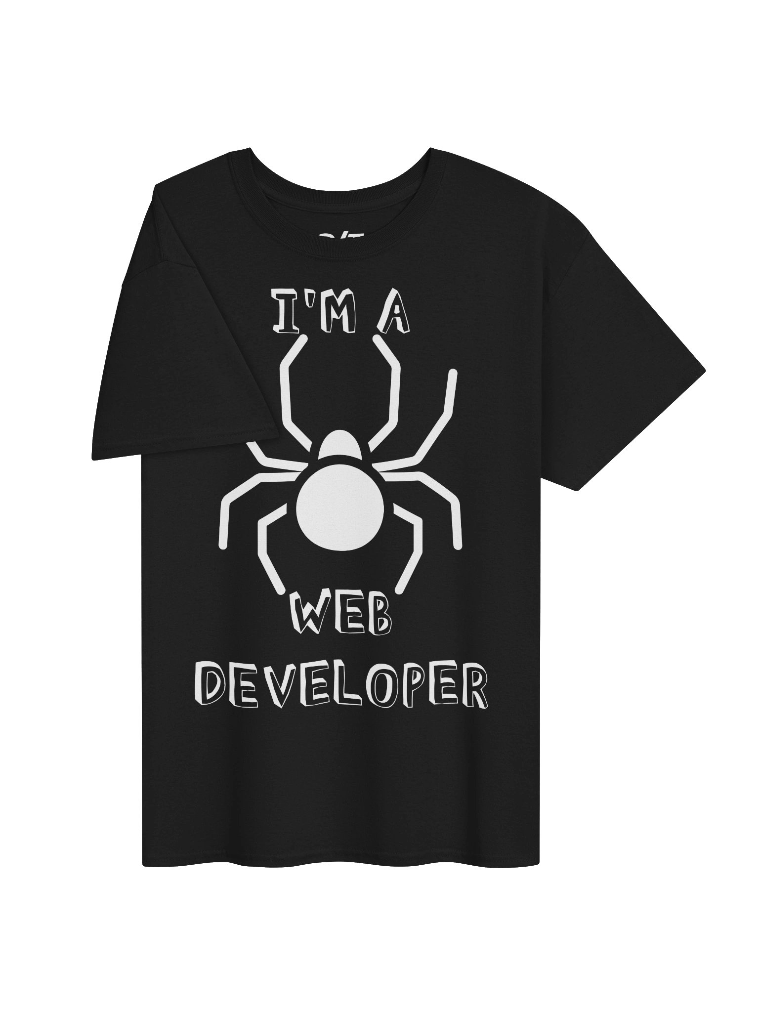 Web Developer product image (3)