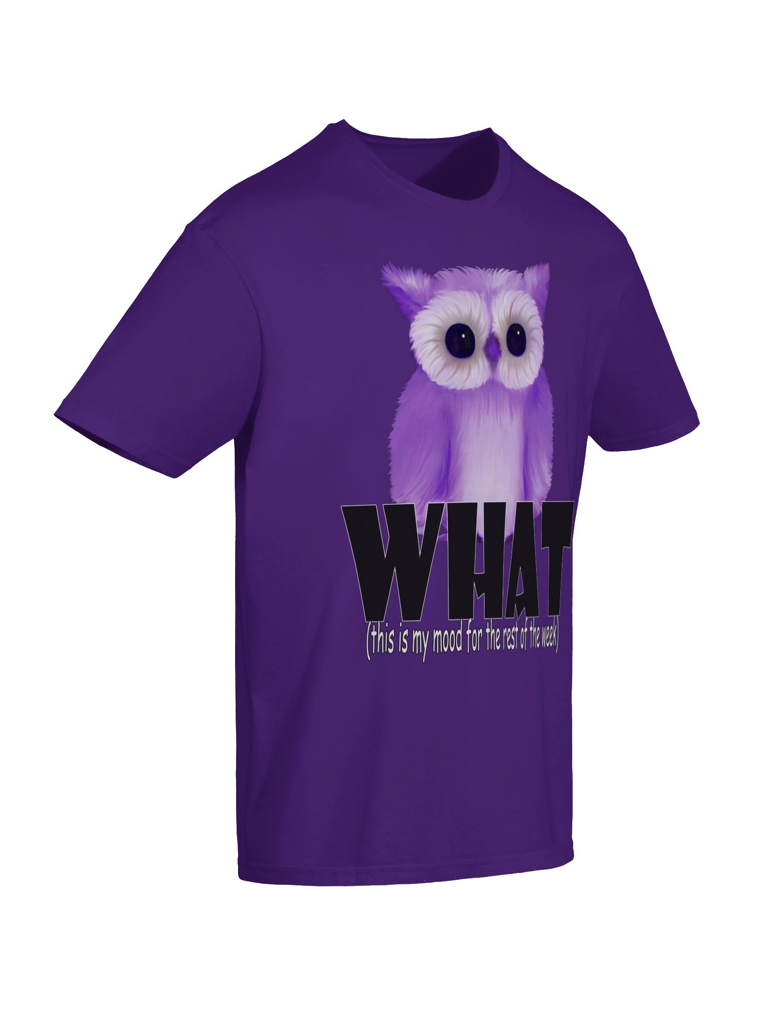 Owl "WHAT" T-Shirt. Unisex Gildan Softstyle T-Shirt product image (5)