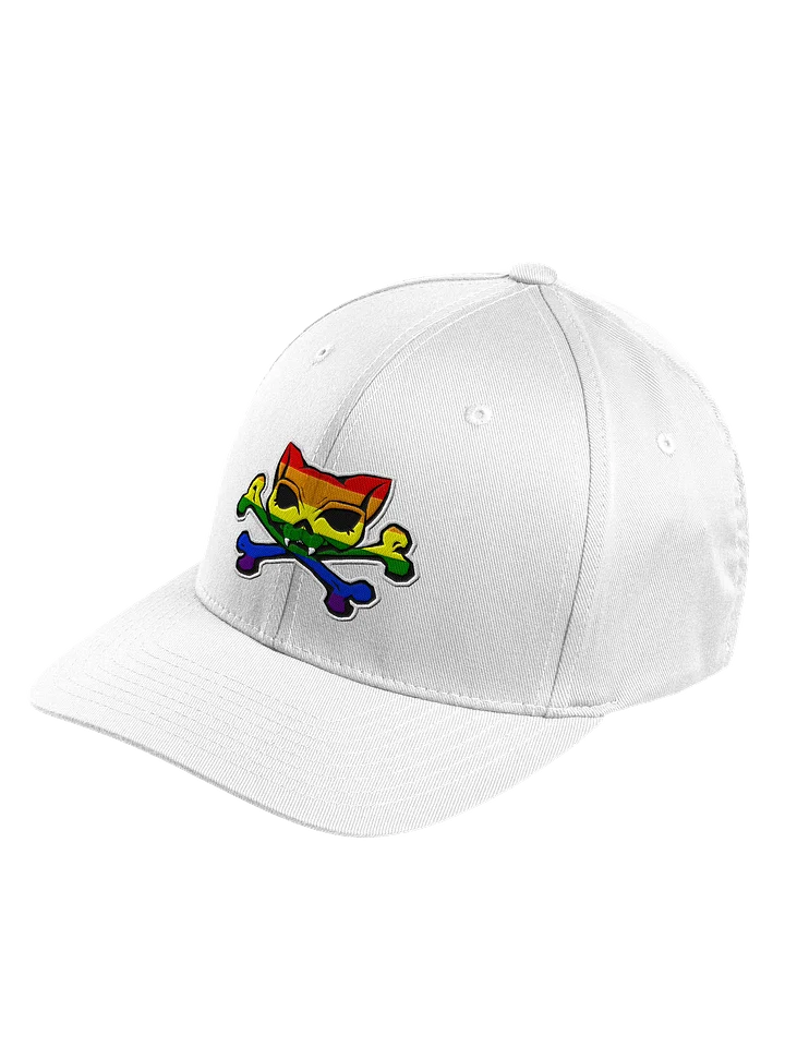 Prideskull Fitted Embroidered Hat product image (23)