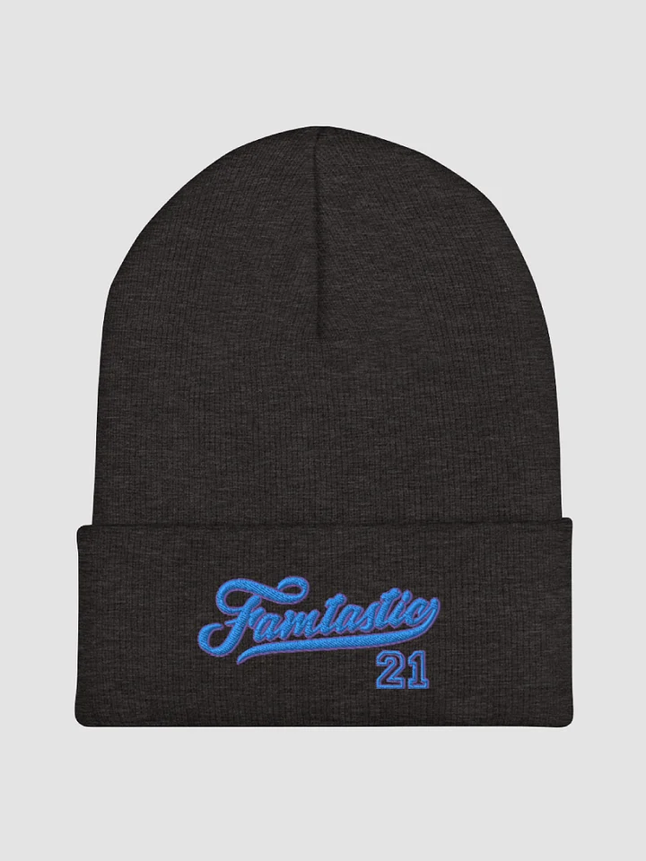 Famtastic Beanie product image (1)