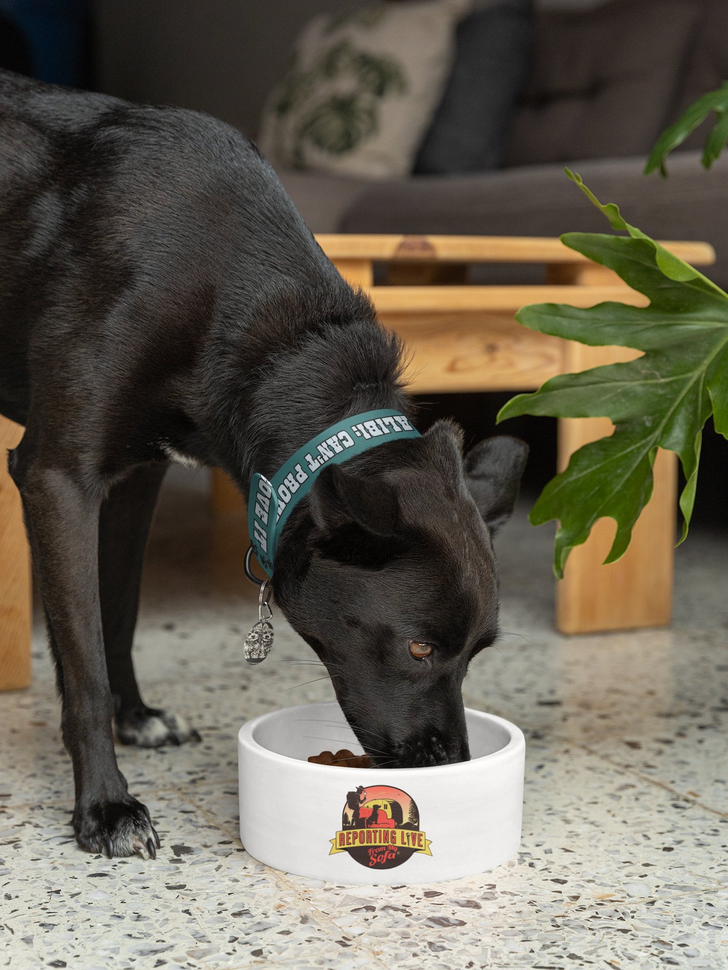 No Alibi No Regrets Dog Collar and Leash Set product image (5)