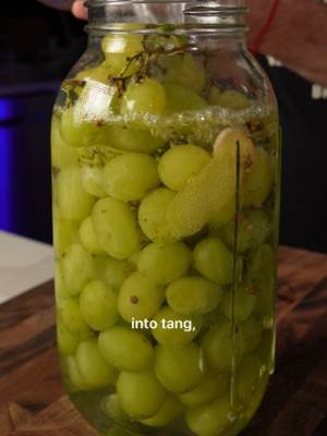 The Real Fermentation System is linked in my bio. Every time people see grapes going into salt water, they ask what the hell I’m doing. Then they taste them. Red grapes on the vine, fresh ginger, coriander seeds, and a lightly sweet salt brine. The result is sweet, sour, lightly fizzy, and almost wine-like. #fermentedgrapes #fermentation #fermentedfruit #lactofermentation #realfood #brinelab #dishbydavid
