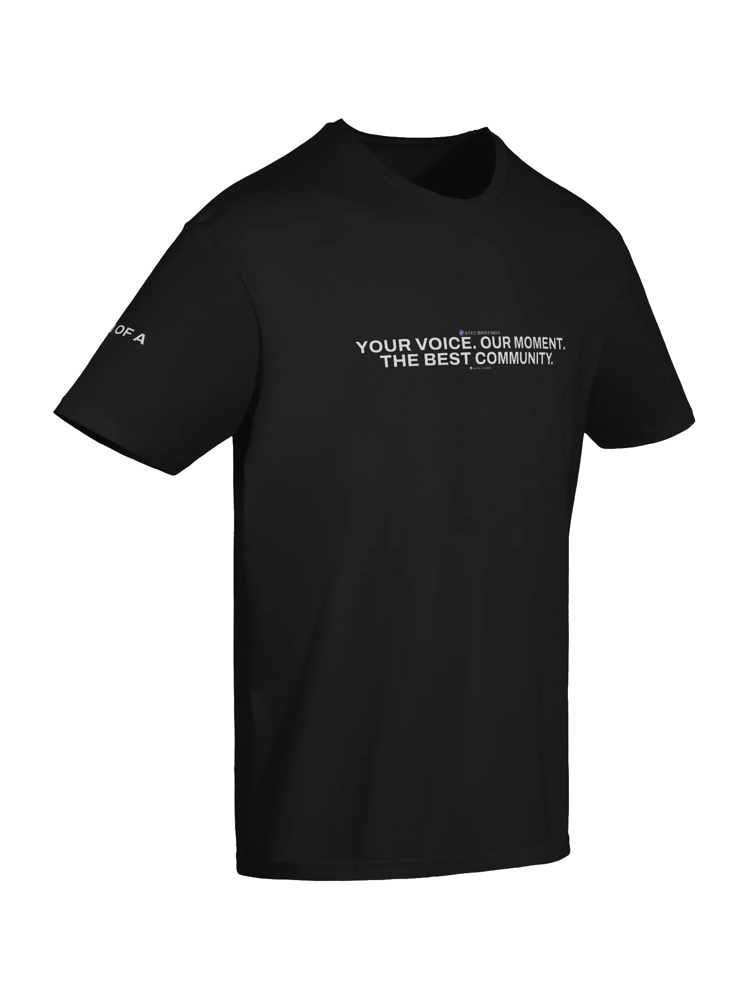 STFC BRIEFINGS - Our Moment Collection T-Shirt product image (6)