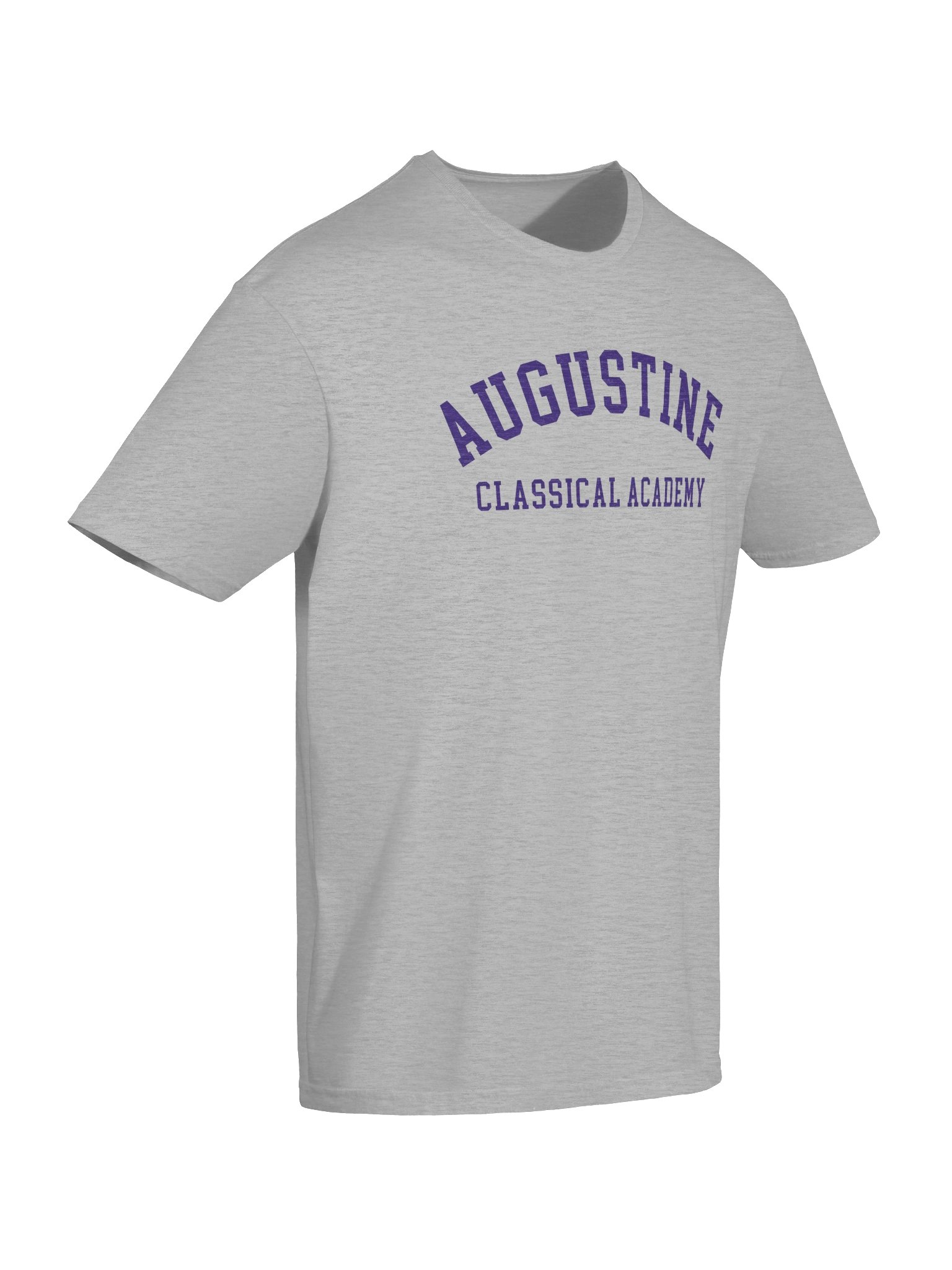ACA T-Shirt - Gray product image (6)