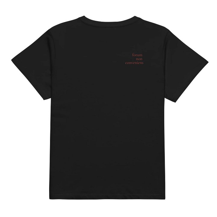 collateral estoppel baby tee product image (2)