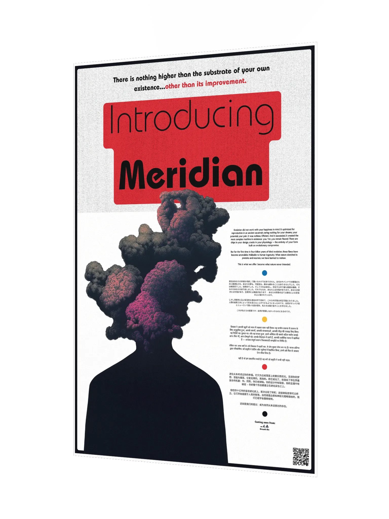 introducing meridian product image (4)