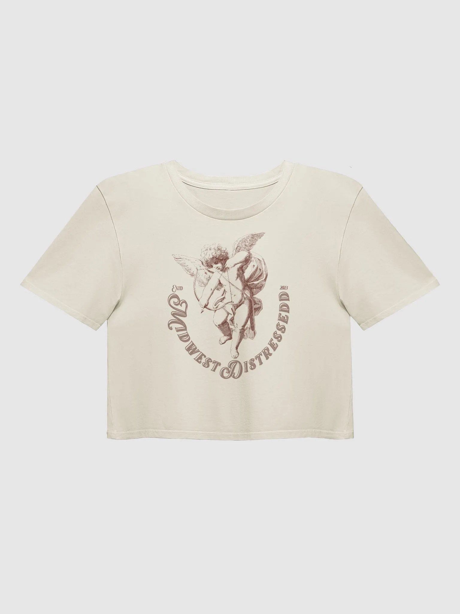 MidwestDistressedd Crop Tee product image (17)