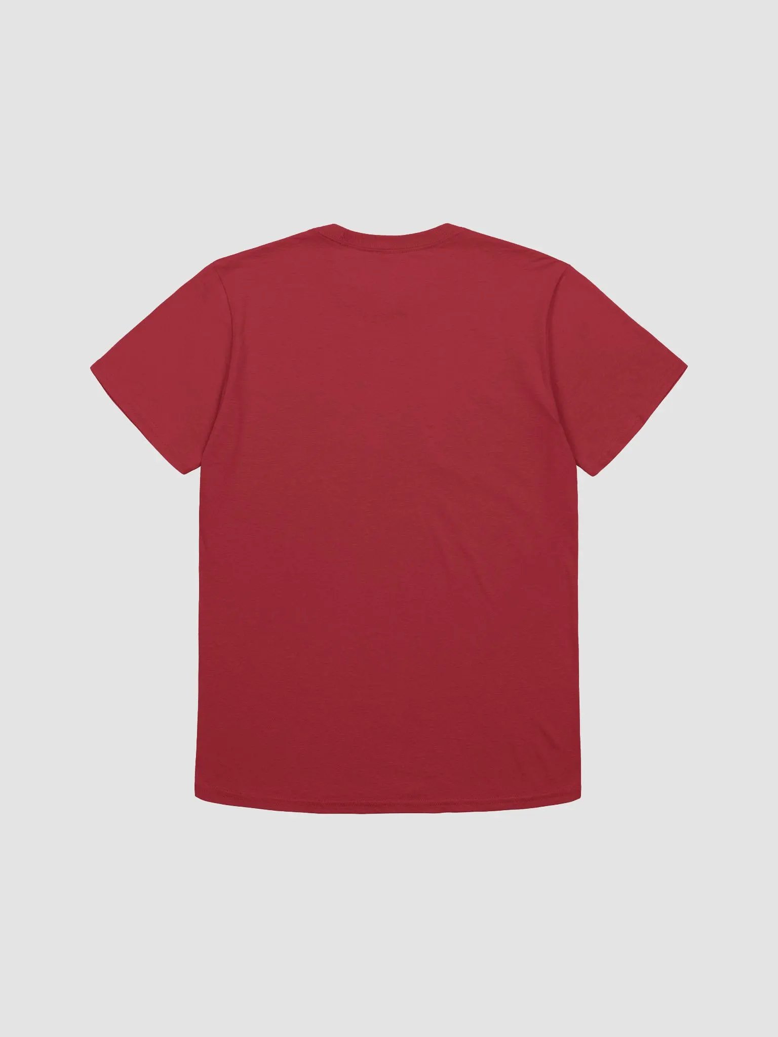 Tee Published Author product image (8)