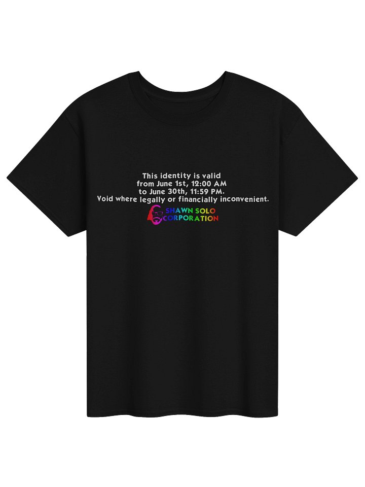 Shawn Solo Corp Identity Heavyweight Tee product image (1)