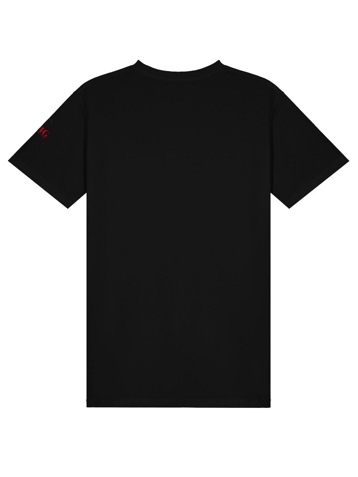 Staten Island: Forgotten Borough™ Graphic T-Shirt product image (20)
