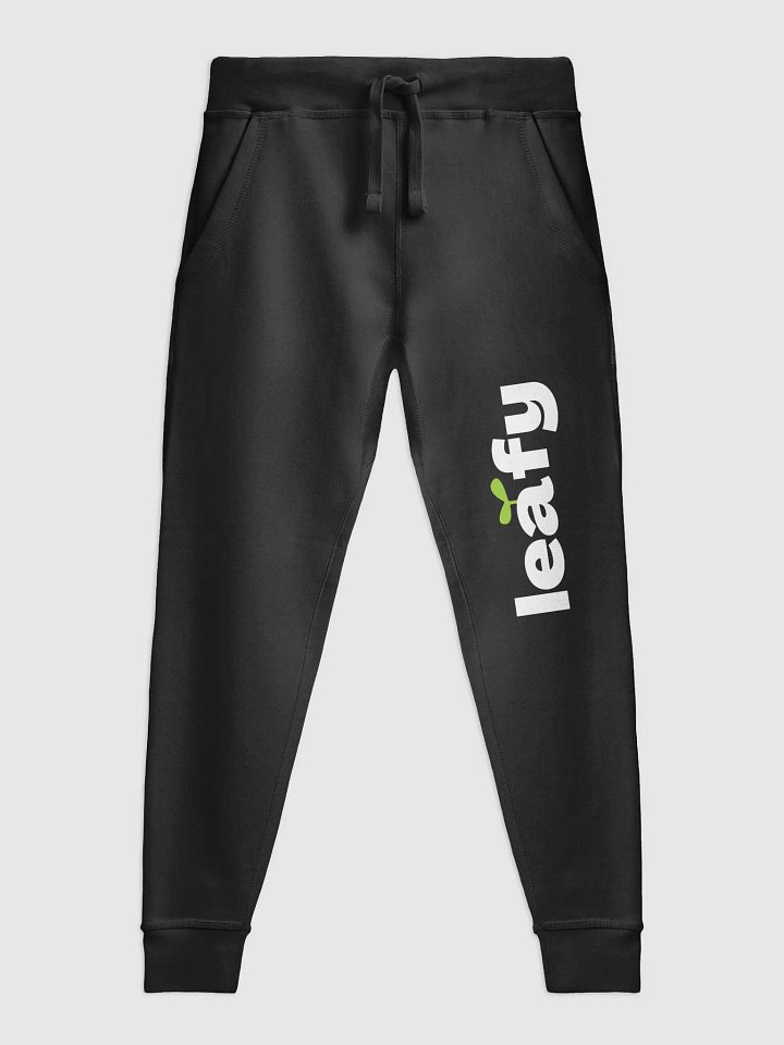 the joggers product image (2)