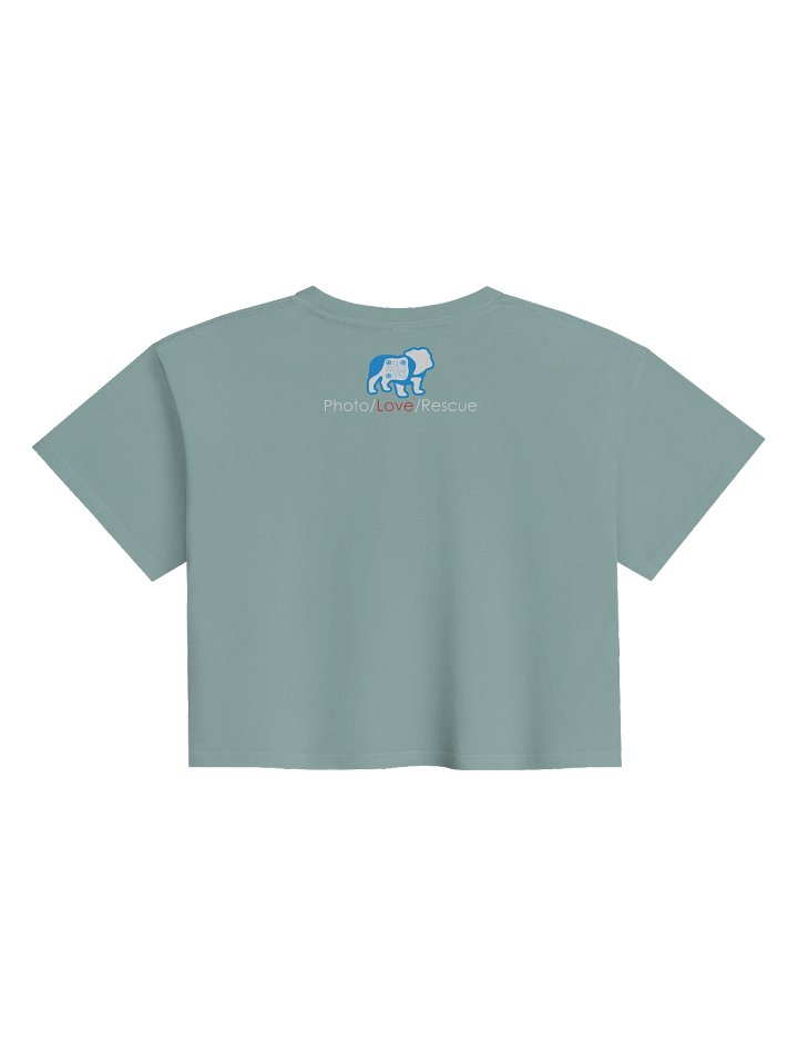 Fluent in Dog product image (4)