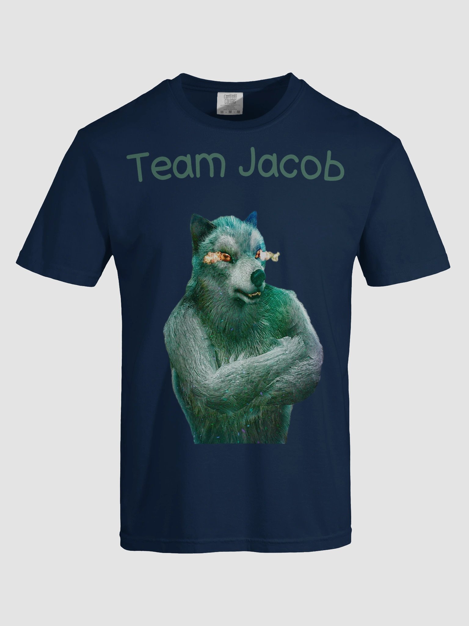 Team Jacob (WOLFSTAR) Tee product image (47)