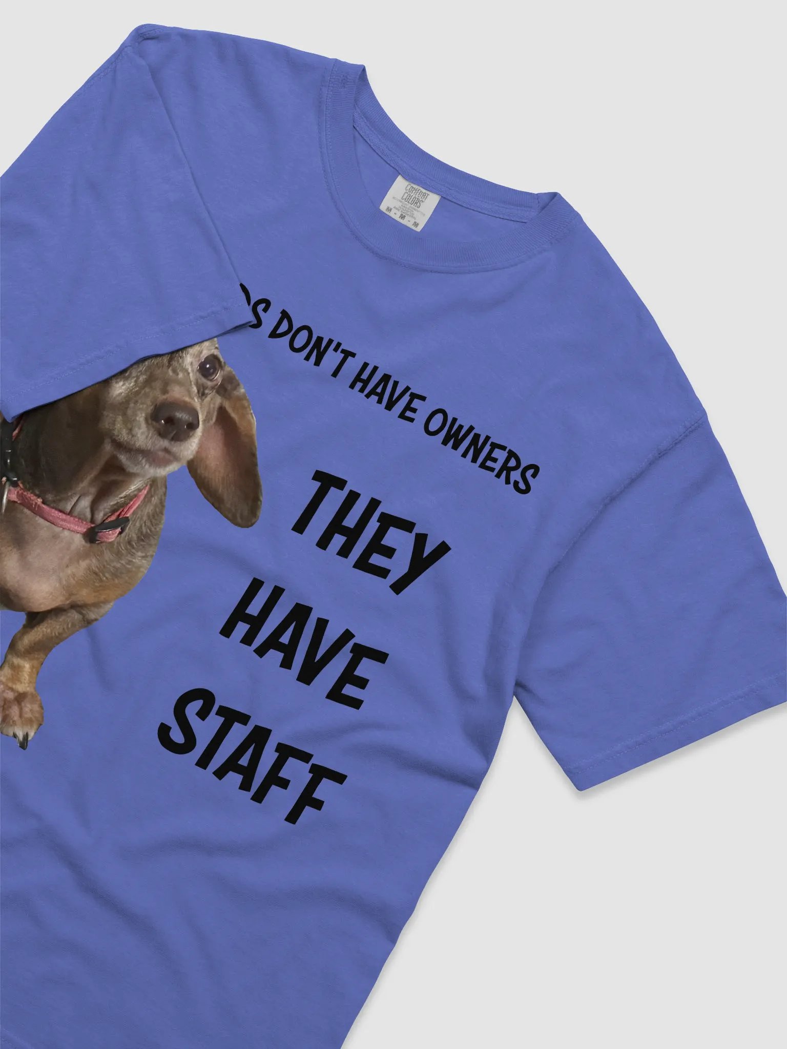Dachshunds Have Staff Heavyweight T-Shirt product image (3)