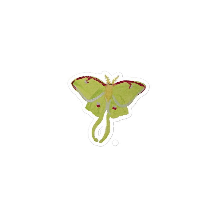 Sticky Bugs - Lunar Moth product image (2)
