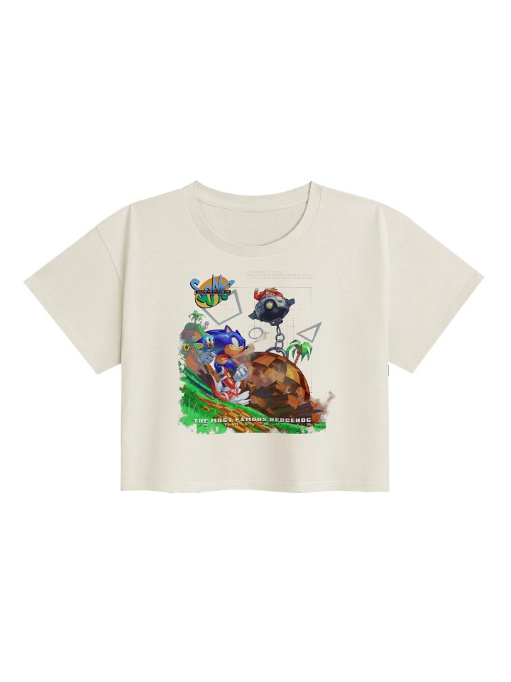 The Most Famous Hedgehog Women's Premium Crop Top product image (3)