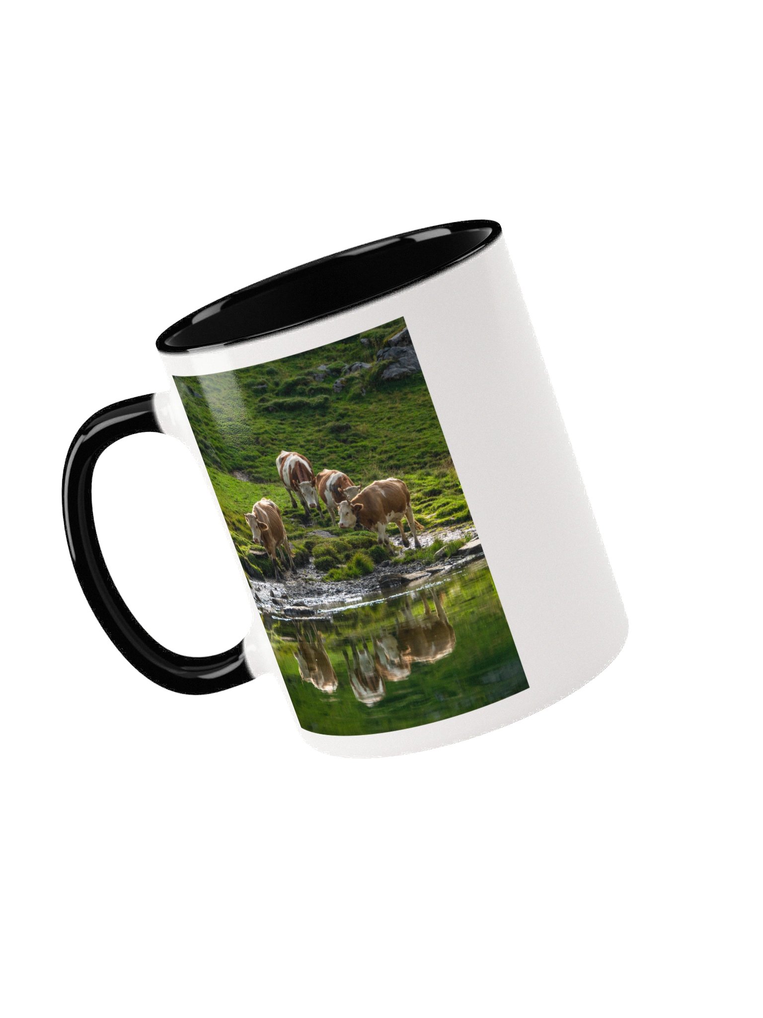Cows at Sulseeli Jungfrau Region product image (36)