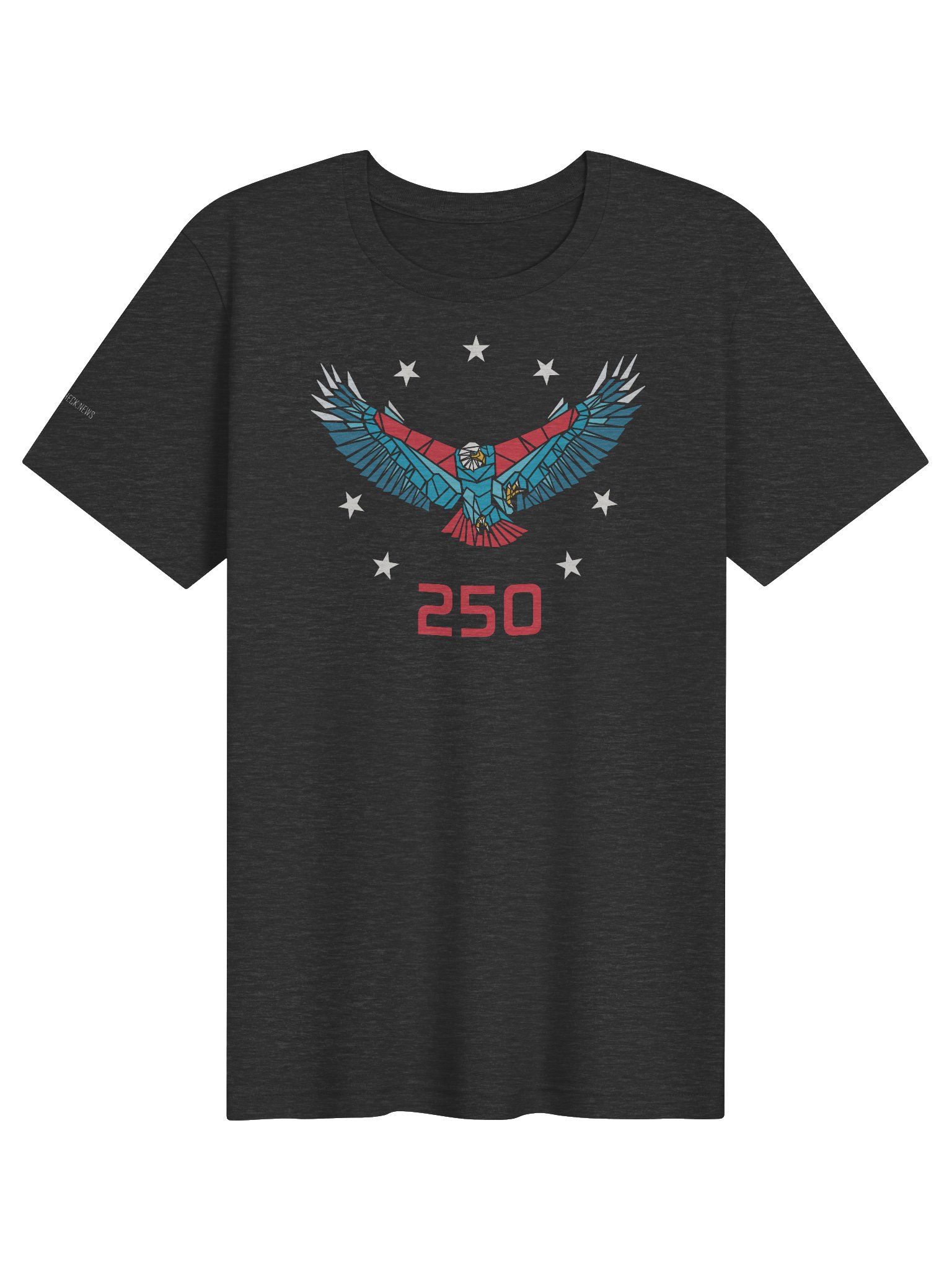 250 SPIRIT EAGLE product image (29)