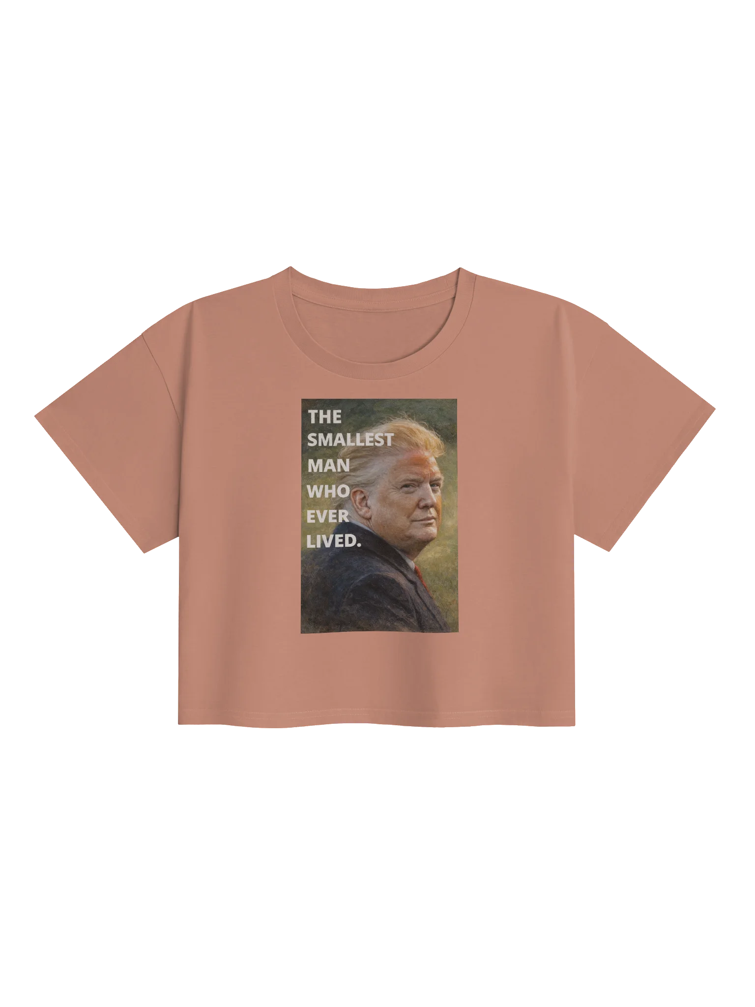 The Smallest Man Cropped Tee. product image (13)
