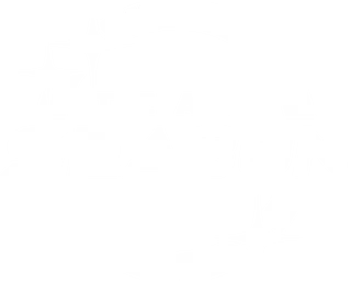 Team Sea3on Shop