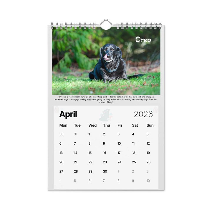 2026 Saving Great Animals Rescue Calendar product image (1)
