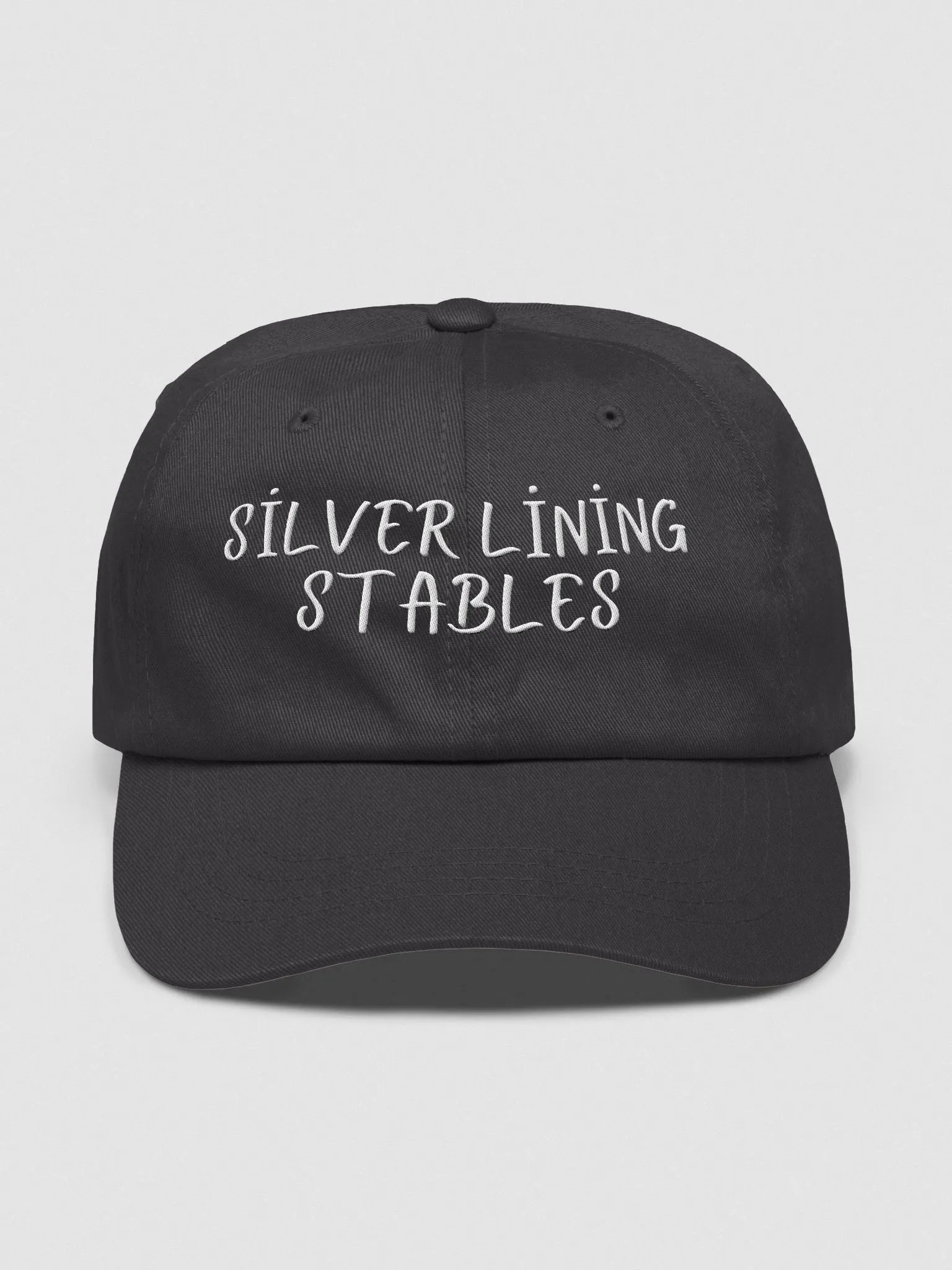 Classic Comfort Dad Hat product image (1)