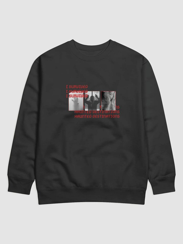 Ethereal Encounter Premium Sweatshirt product image (2)