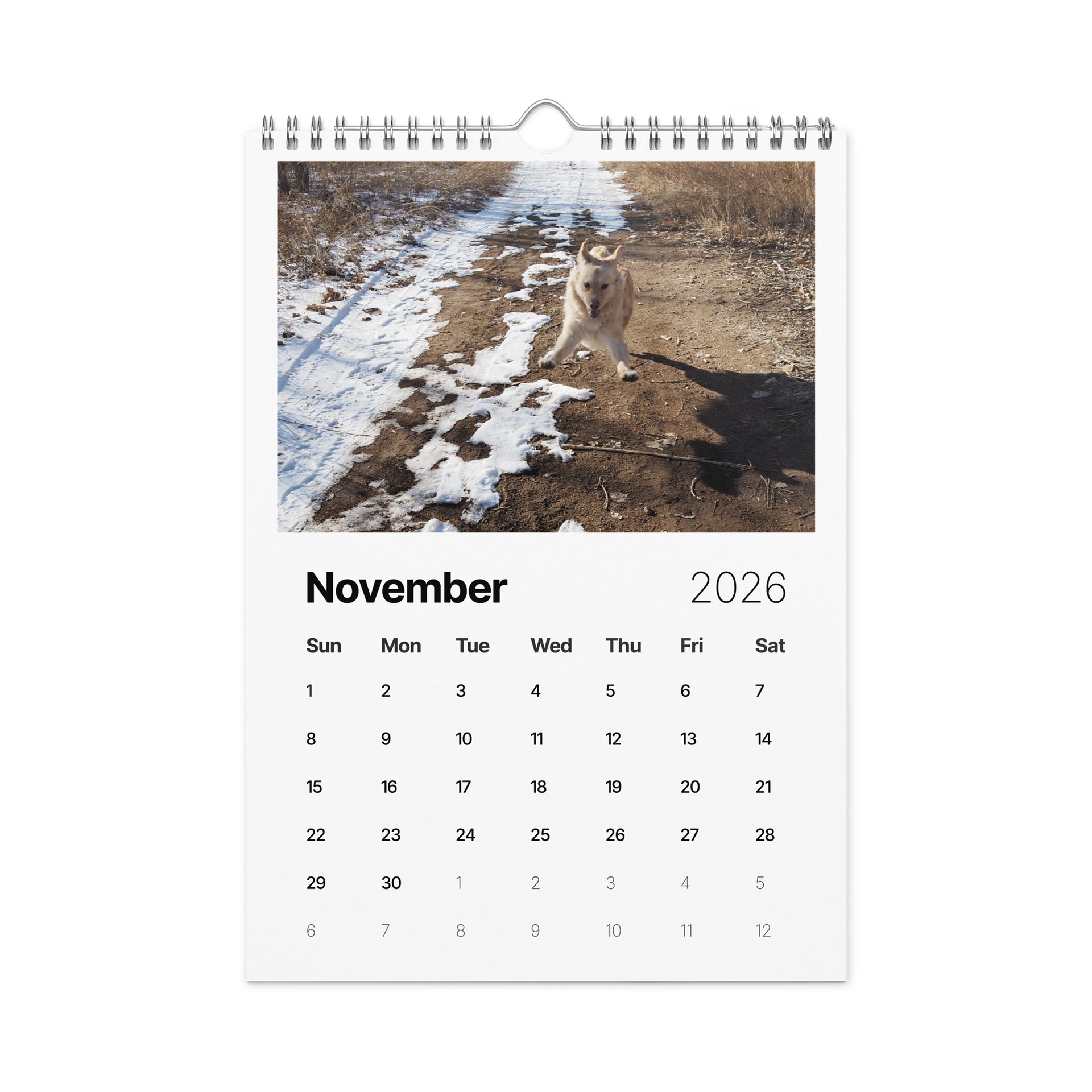 Milo's Life 2026 Wall Calendar product image (10)