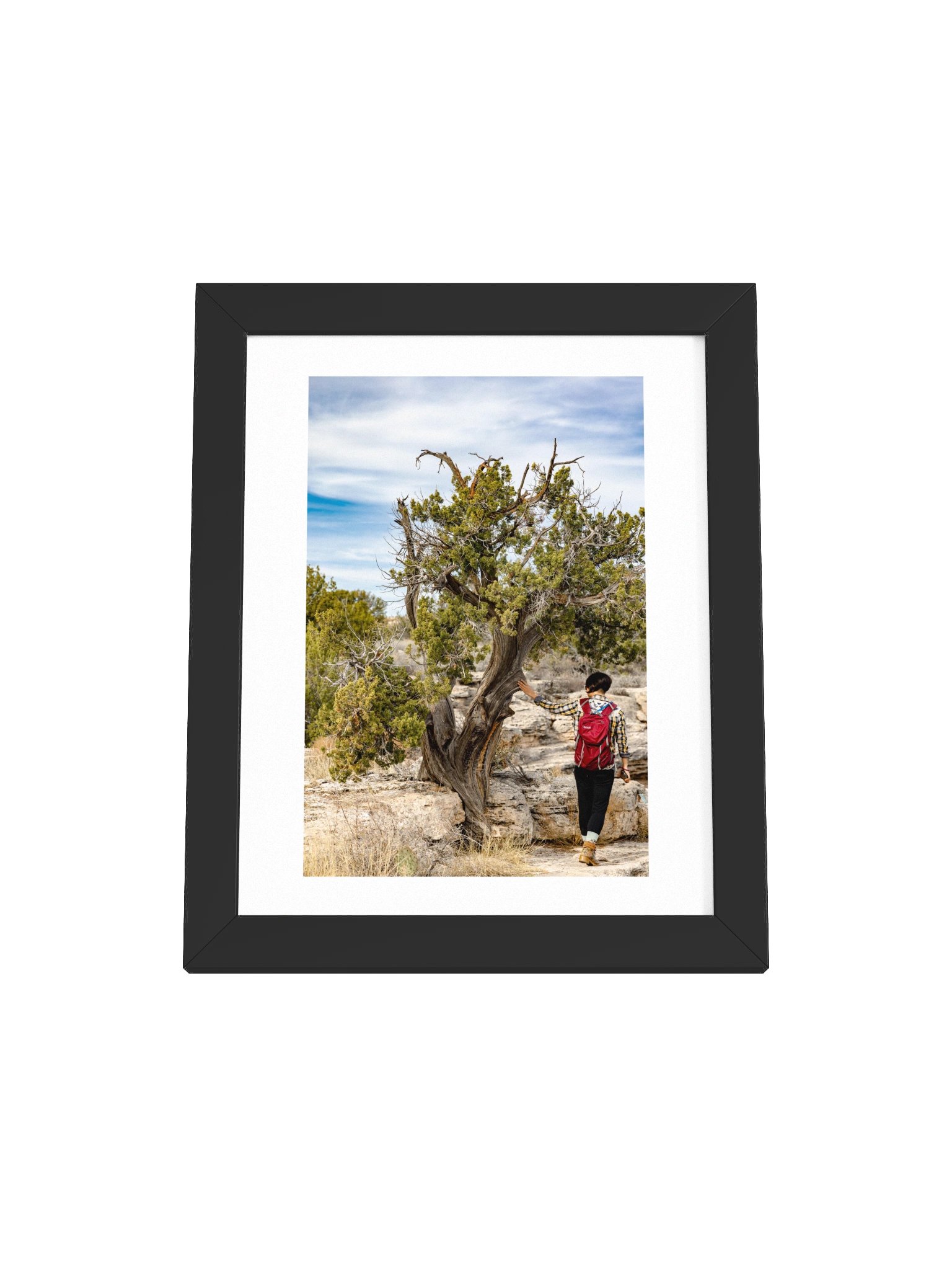 Desert Tree Touch Framed Poster product image (2)