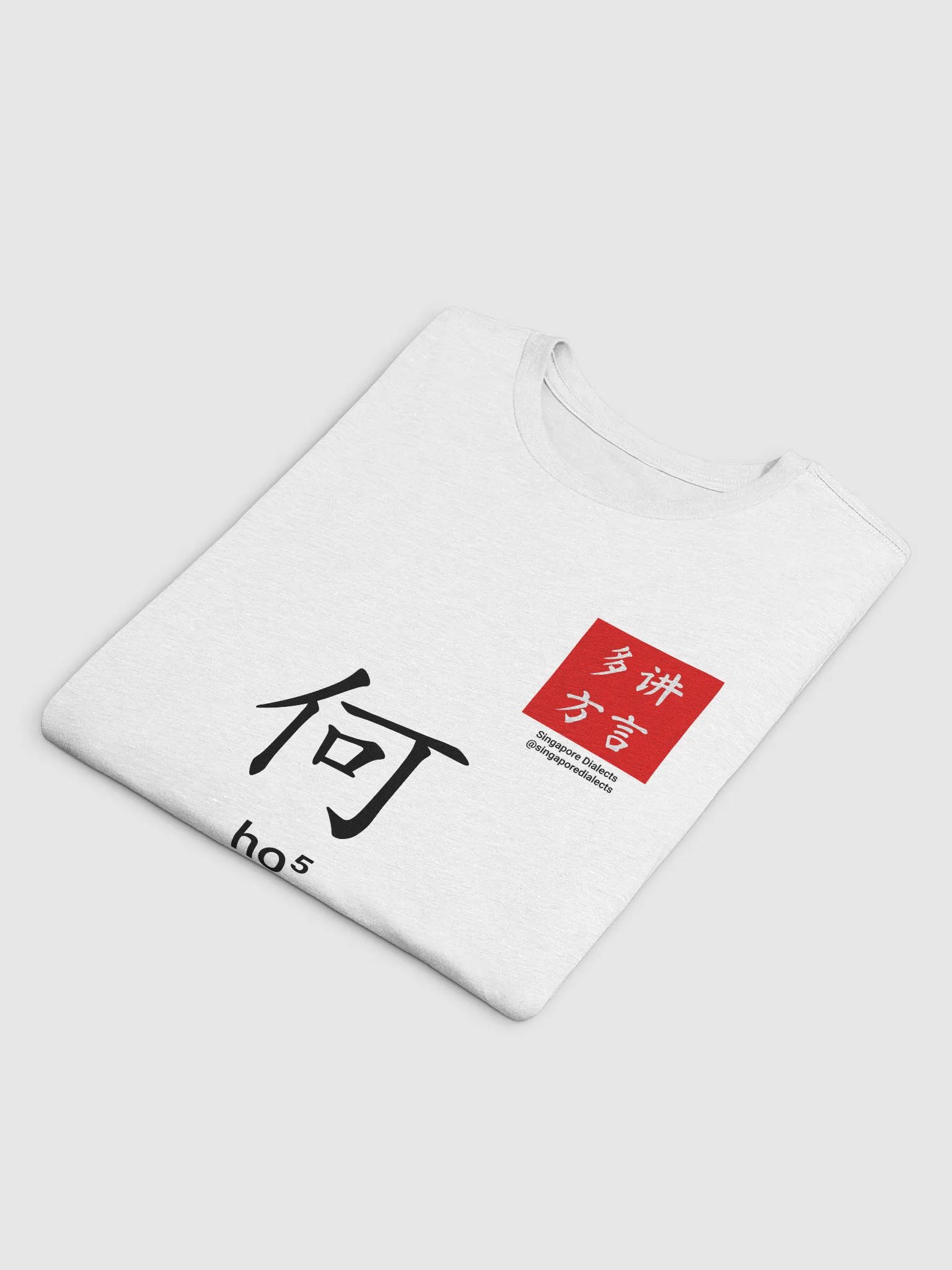 何 Ho (Teochew) Surname T-Shirt (Light) product image (4)