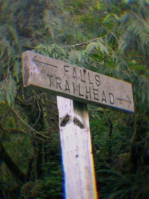 come along with me!  . . . #waterfallhike #oregon #bananaslug #solofemaletraveler  #bridge 