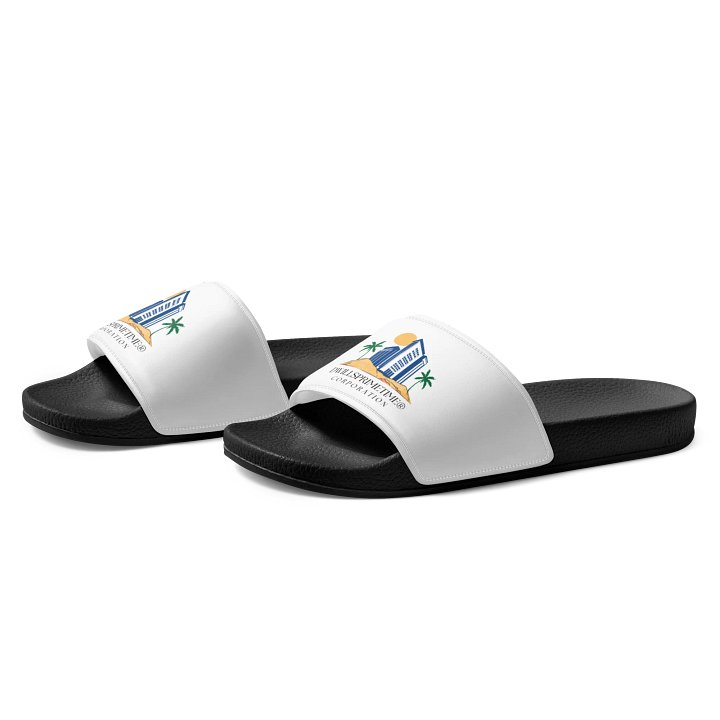 Dwillsprimetime Corporation Men's Slides product image (2)