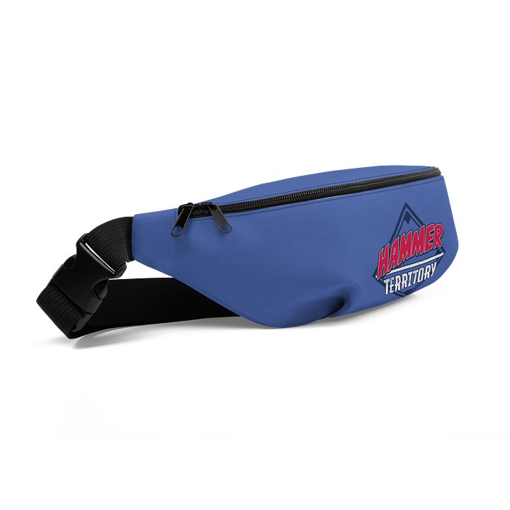 Fanny Pack product image (2)