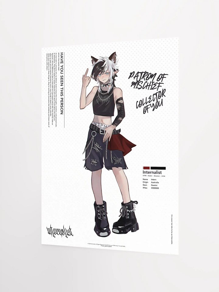 HAVE YOU SEEN THIS PERSON Poster product image (2)