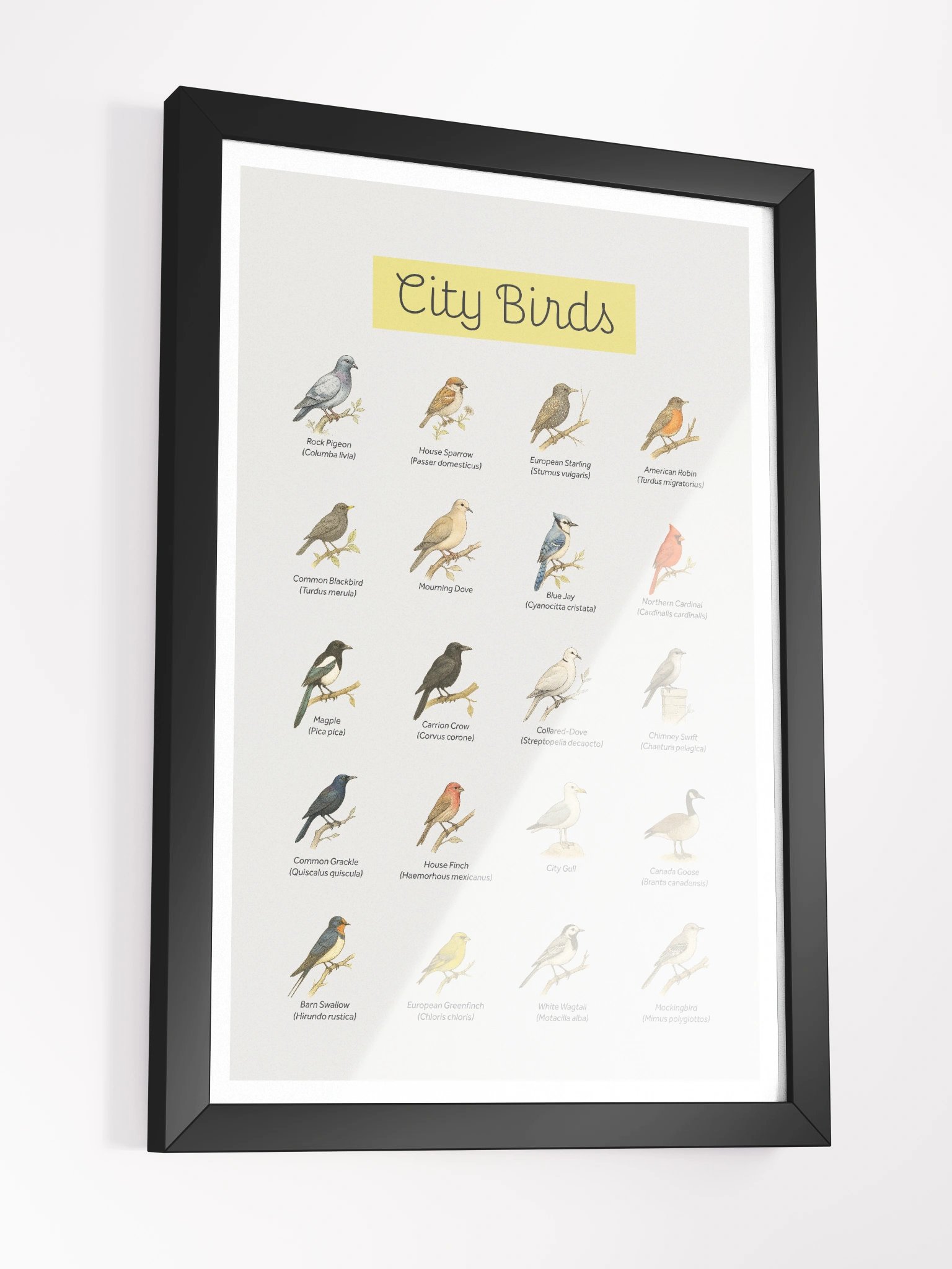 City Birds Framed Art Print product image (7)